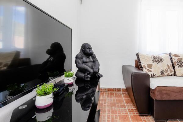 Apartments Ivo Bozinovic Tivat Ngoại thất bức ảnh